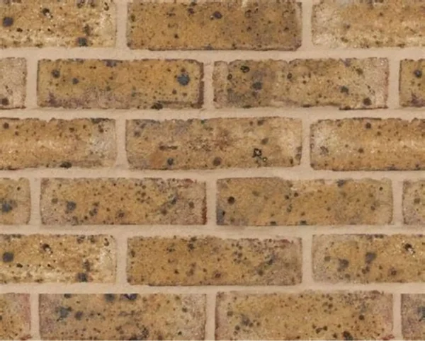 Blue Barley Travertine FBX face brick