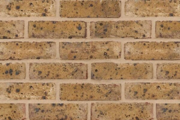 Blue Barley Travertine FBX face brick