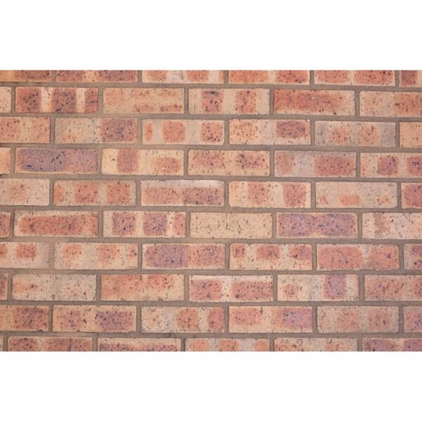 Rust Gold Travertine FBX face brick