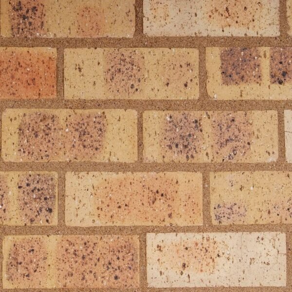 Nebraska CoroJem Travertine Face Brick – Bold Yellow Travertine Texture