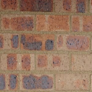 Nevada CoroJem Travertine Face Brick – Bold Travertine Texture