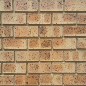 Nebraska Travertine Face Brick – Warm Yellow Travertine Texture