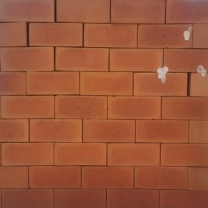 Ruby Light Satin Face Brick – Soft Pink Satin Finish
