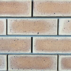 FBS Sunrise Satin Face Brick – Warm Peach with a Subtle Sheen