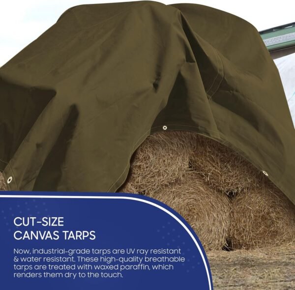 Heavy-Duty Canvas Tarp 10′ × 12′ – Strong Coverage with Brass Grommets