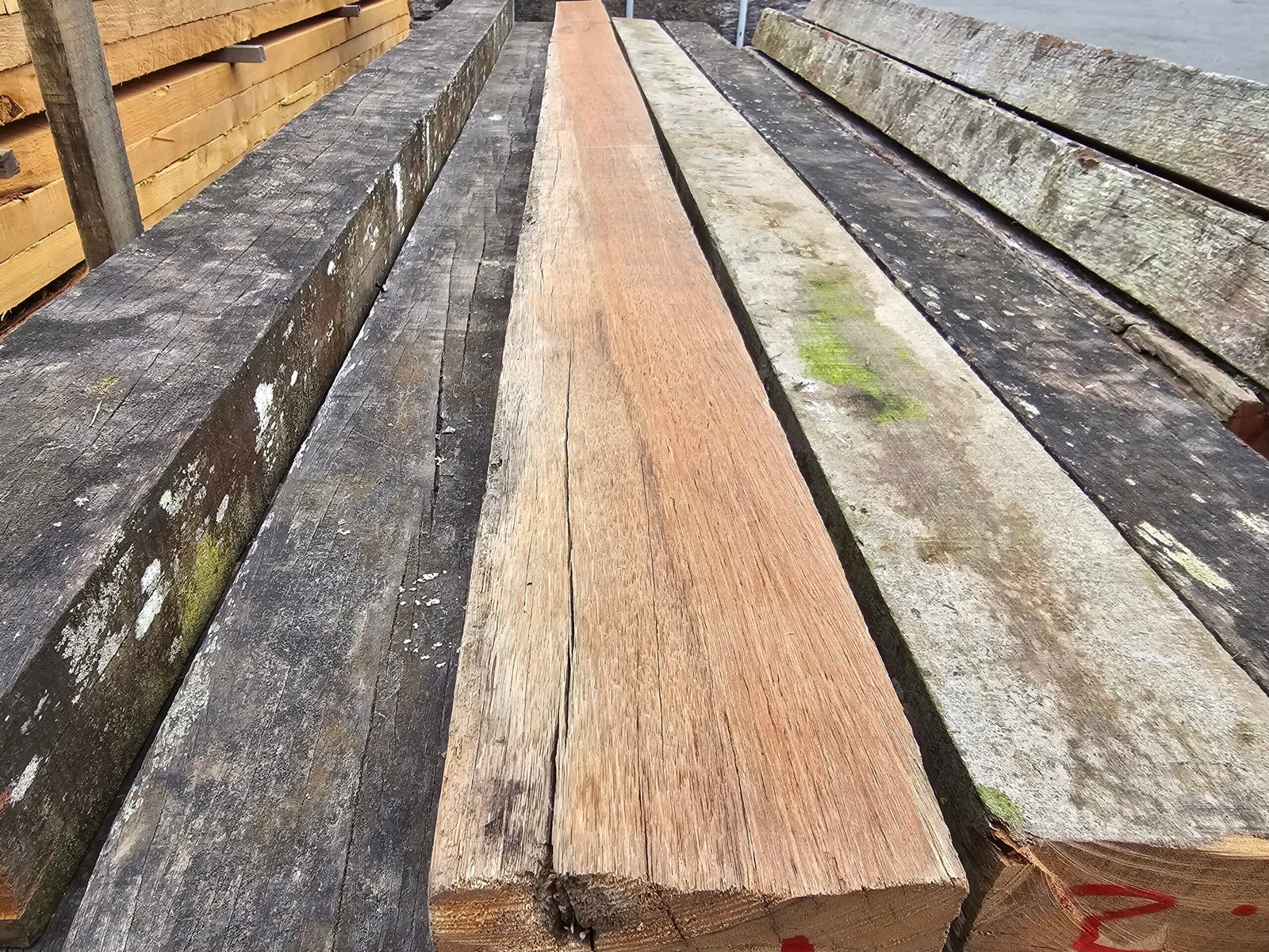 Hardwood Timber 100 × 75 – Heavy Duty Structural Beam & Purlin