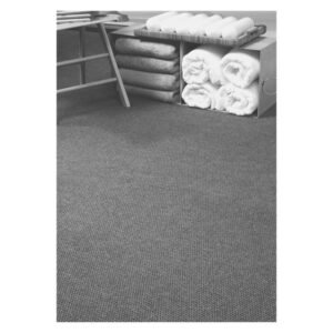 Floornet Powerpoint Carpet 4100 mm — SA Home Builder Store