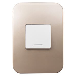 Veti Switch 1-Lever Double Mod - White/Champagne — SA Home Builder Store